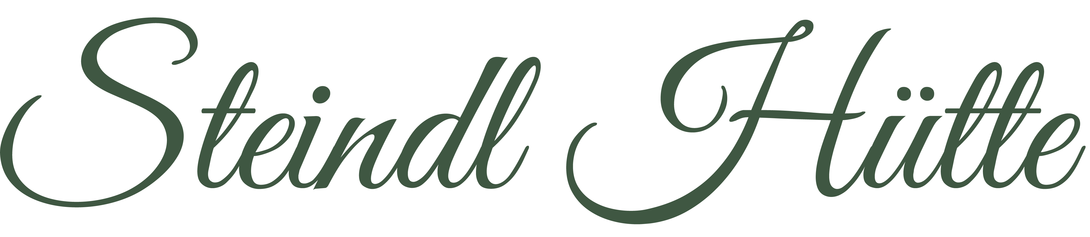 Steindl Logo